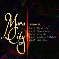 Professional Beat – Cana Violin