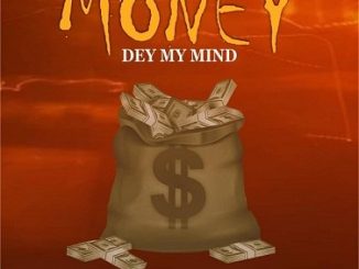 Mavoswago – The Money Dey My Mind