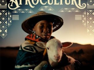 Flavour – Afro Culture ft. Baaba Maal (Lyrics)