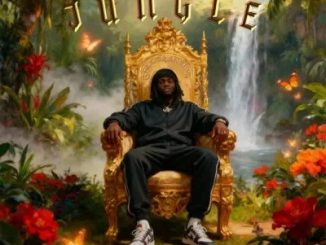 Balloranking – Jungle