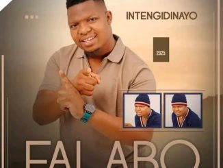 Falabo – Intengidinayo