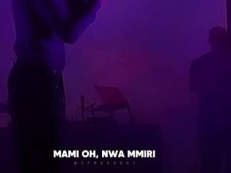 Omah Lay – We Go Make Am