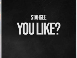 Stahgee – You Like?