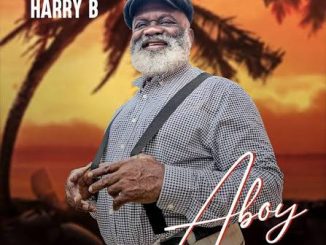 Harry B – Consider Cover