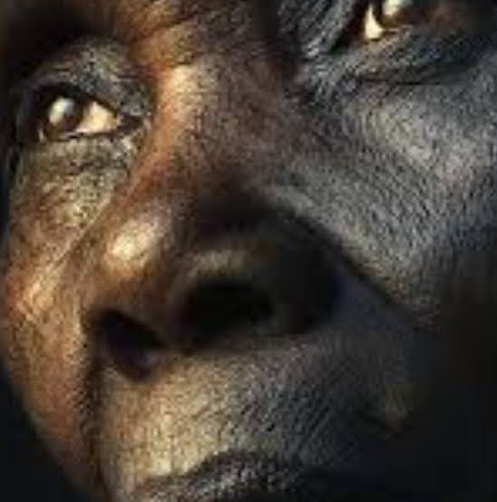 UyiosaEL – The Blueprint (Afro-Soul)