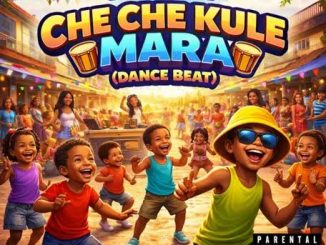 DJ Molly – Che Che Kule Mara Dance Beat