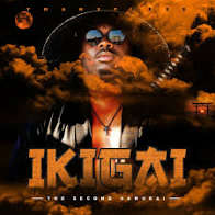 Tman Xpress – New Album