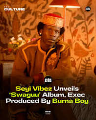 Seyi Vibez – Swaguu Album