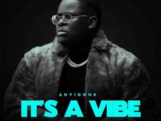 Anyidons – My Ikenga Is Active