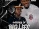 Akalaugo Mbem – Emprince Of Big Life