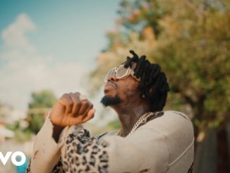 Alkaline - Graduate