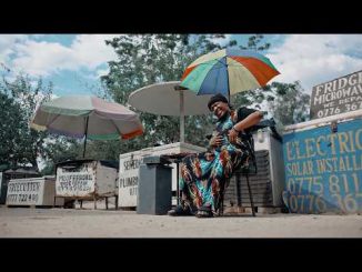 Nisha Ts - Musazonditsiure ft Dj Sparks Zw