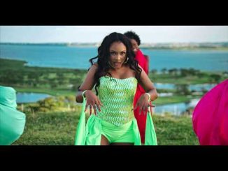 Spice Diana Ft. Vinka - Nzigulawo Remix