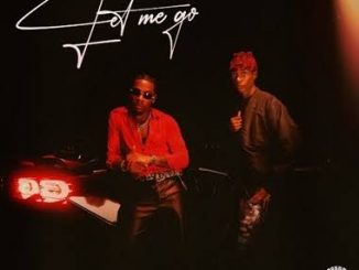 Joeboy – You Should Let Me Go