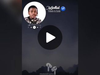 Mjolisi – Tribute To Scebi