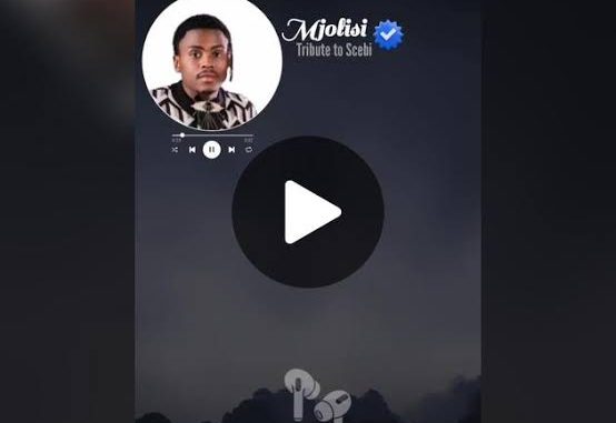 Mjolisi – Tribute To Scebi