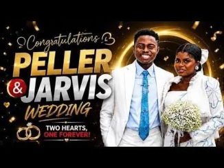 Dj Starkeed – Womb Shifter (Peller & Jarvis Wedding 2026)