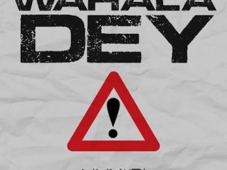 NNVMDI – Peter And Paul Go Know Say Wahala Dey