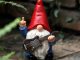 Guitar Gnome – Celebration Time