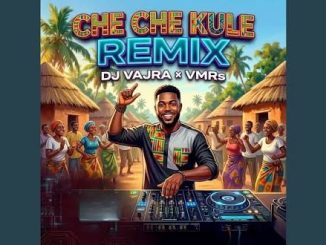 DJ Willy TZ – Cheche Kule Singeli Remix