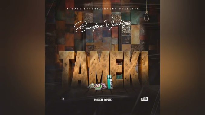 Bandera Wachiyao - Tameki