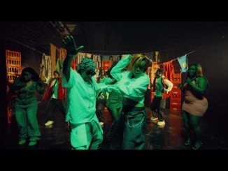 Nisha Ts - Ndanzwa Mhere ft. DaRuler HKD