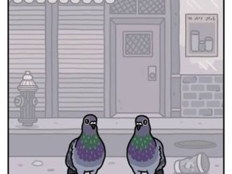 Clovis Pigeon – Bless My Hustle