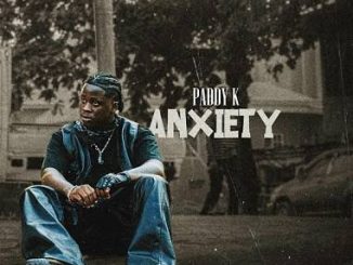 Paddy K – You Don't Know What I Feel In My Head