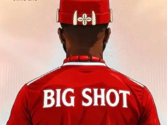 Zoro Swagbag –Big Shot