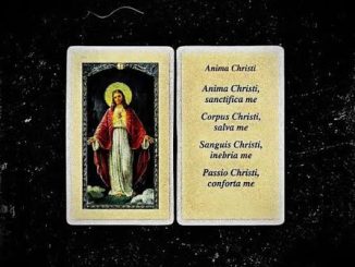 Hardknock – Anima Christi
