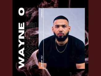 Dj Wayne - Flute Amapiano