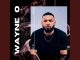Dj Wayne - Flute Amapiano