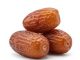 Saltwater Prune – Going Viral