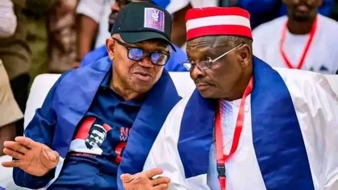 Papilosax – NDC Kamma