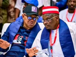 Papilosax – NDC Kamma (Party Peter Obi Song)
